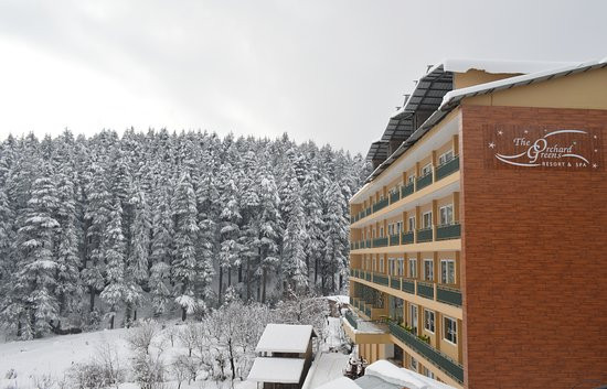 The Orchard Greens Resort主图