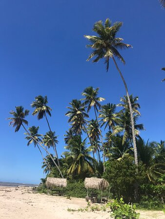 Coco Dendê Boipeba-Ilha de Boipeba必去景点