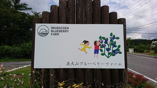 Okudaisen Blueberry Farm景点图片