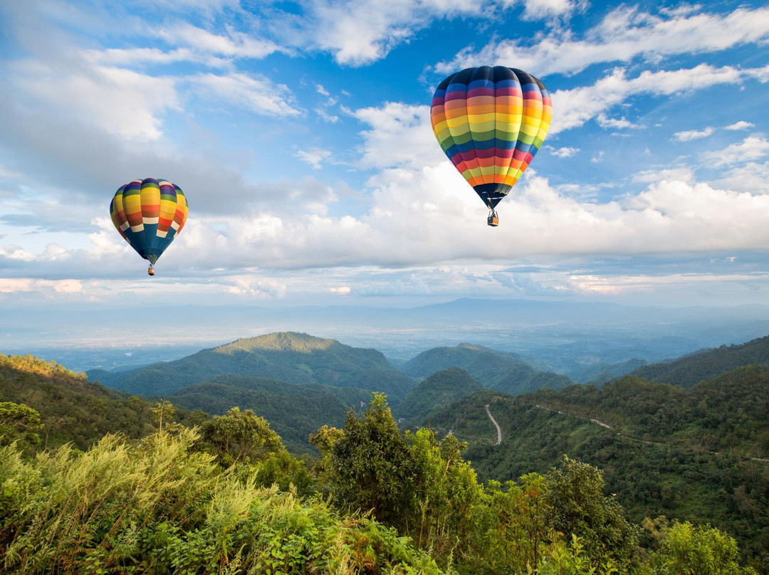 Cville Tours景点图片