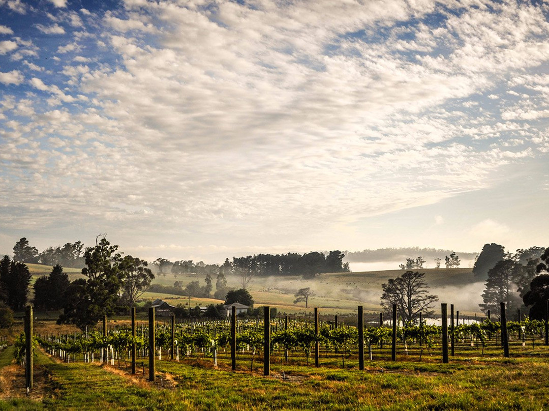Sidmouth旅游景点-Wines for Joanie