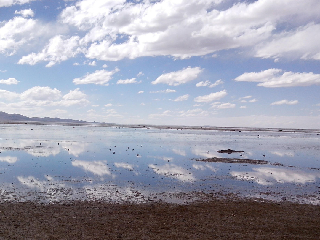 Monumento Natural Laguna de los Pozuelos景点图片