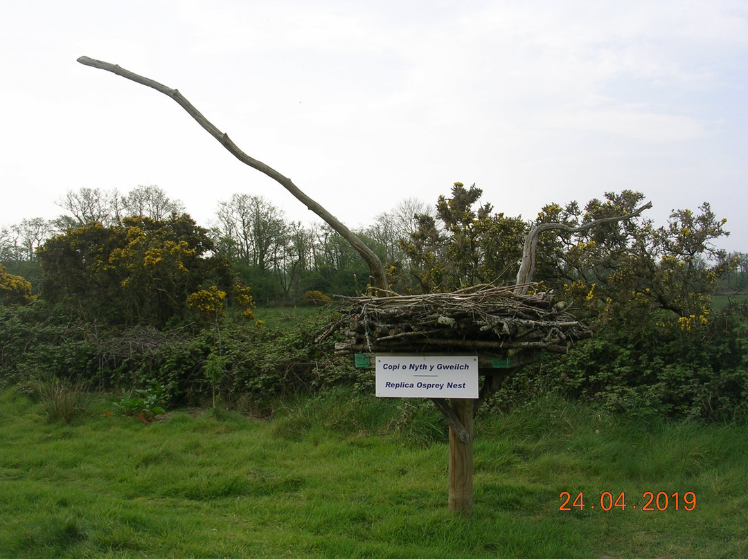 Bywyd Gwyllt Glaslyn Wildlife - Glaslyn Ospreys景点图片