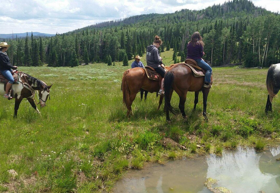 Winter Hawk Trail Rides