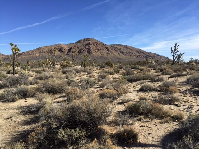 Teutonia Peak-Cima必去景点