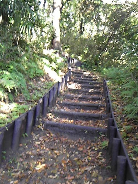 Radiant Flower Hill Park-二宫町必去景点