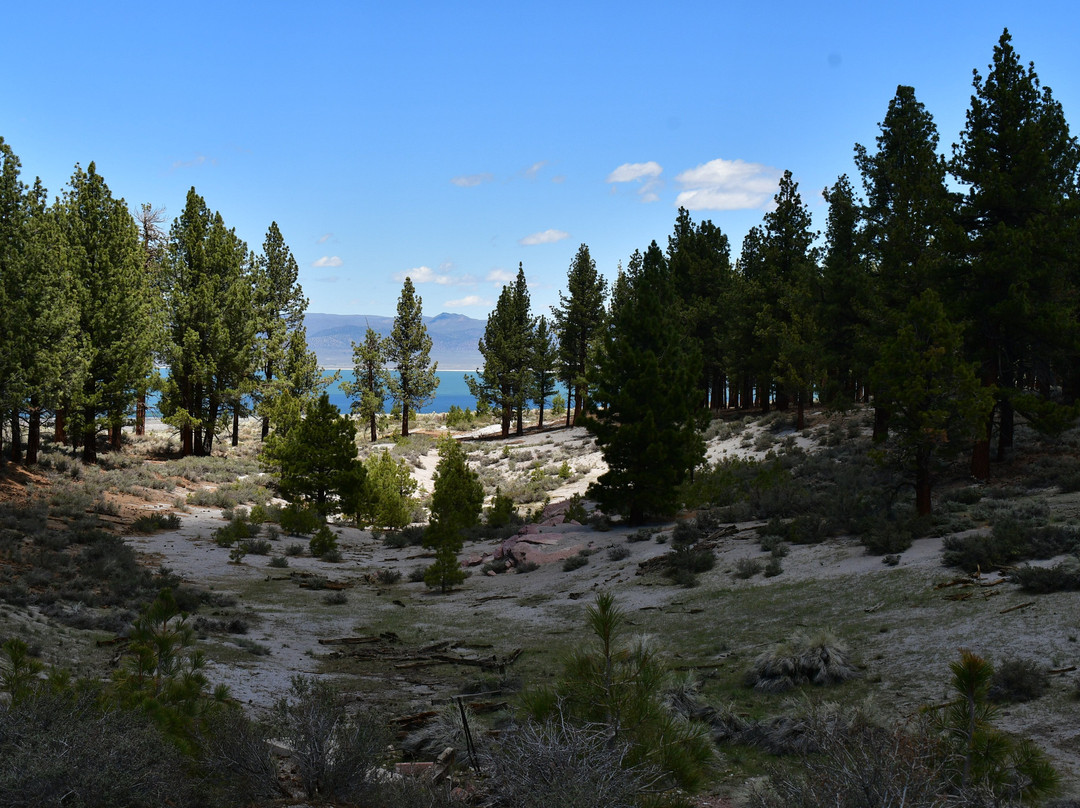 Mono Mills Historic Sit-利韦宁必去景点