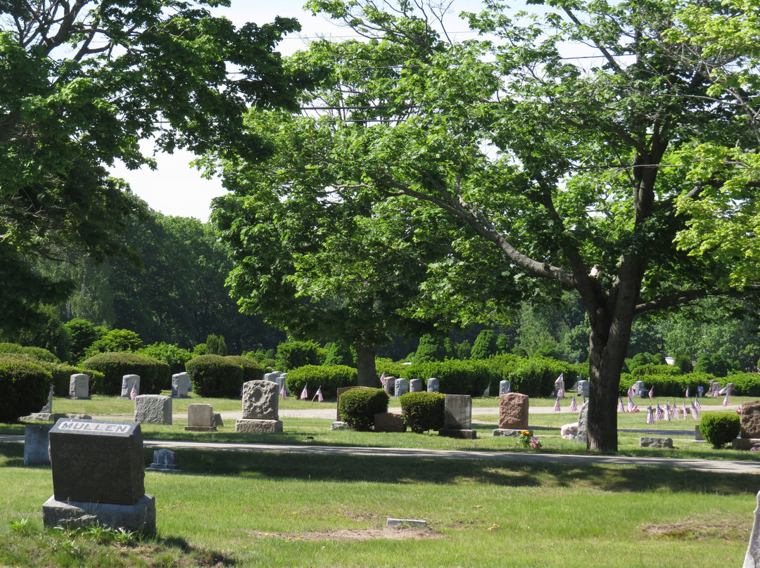 Forest City Cemetery景点图片