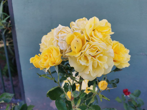 Ruta Galapagar-Galapagar必去景点