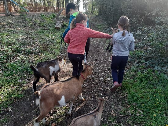 Rêver Réalité-Champeaux必去景点