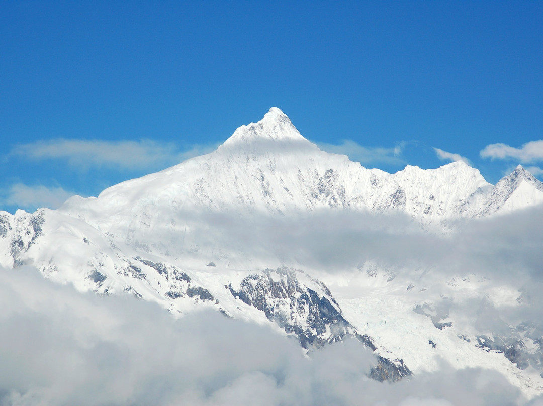 The Moose Is Inn主图