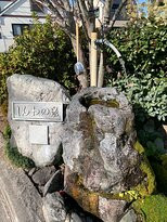 Shimabara Spring Group景点图片