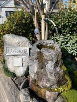 Shimabara Spring Group-岛原市必去景点
