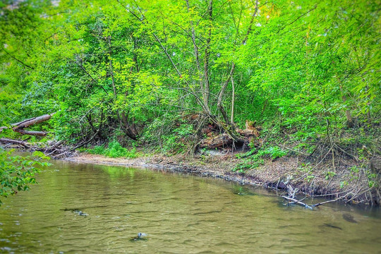 Delta Of Borova River-Severodonetsk必去景点