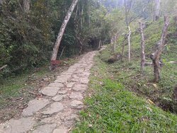 Cascada de Juan Curi景点图片