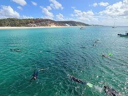 Tasman Venture - Day Tours-赫维湾必去景点