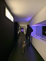 卡本酒店主图
