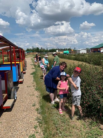 Grotto Gardens Family Fun Farm景点图片