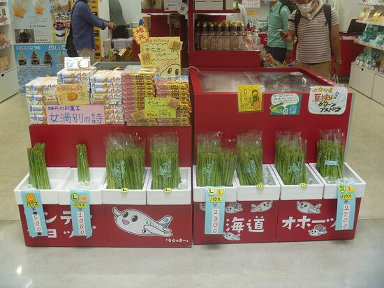 Antenna Shop Honoka Airport-大空町必去景点