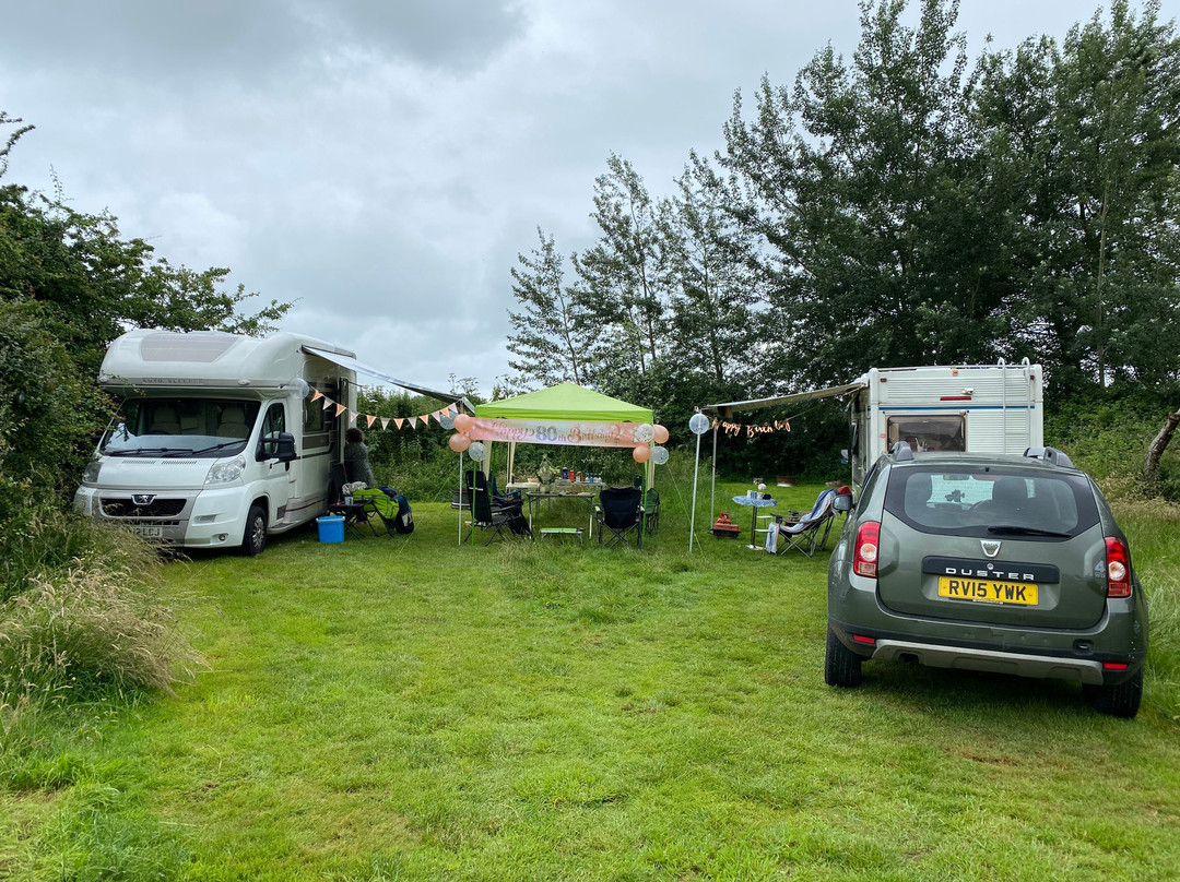 Cuckoo Camp