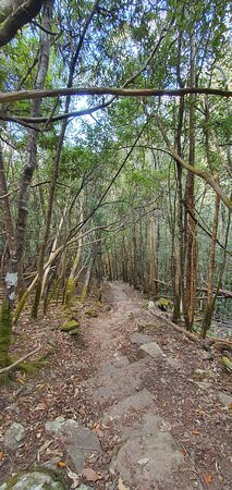 Myrtle Gully Aka Oates Falls景点图片