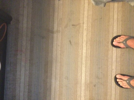 Country Inn & Suites by Radisson, Bemidji, MN主图