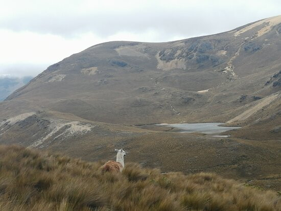 Inspiracion Viajes-昆卡必去景点