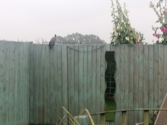 Pheasant Suites Country Farm House主图