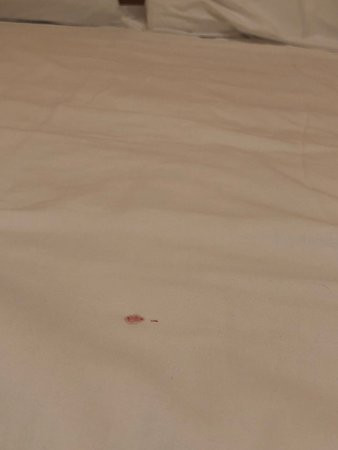 Kostis Villas Askeli Poros主图