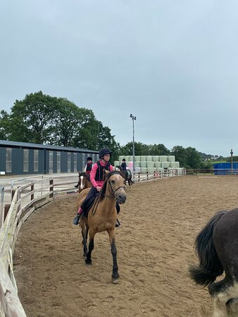 Boskill Equestrian Centre v94 yv83-Caherconlish必去景点