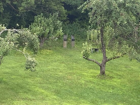 The Chase House Inn主图