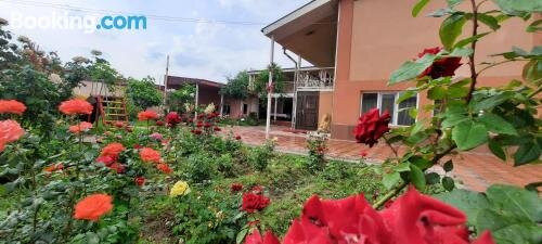 Hostel Turkistan