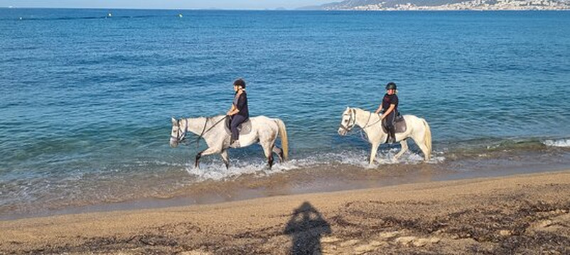 Centre Equestre de Porticcio-Grosseto Prugna必去景点