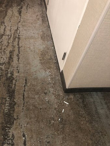 Homewood Suites By Hilton Sarasota主图