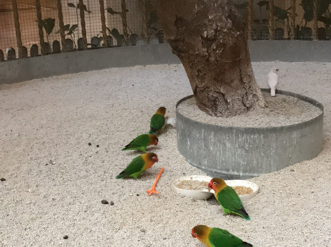 河源巴伐利亚庄园福朋喜来登度假酒店主图