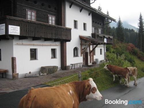 Almhuttenappartements Loicht
