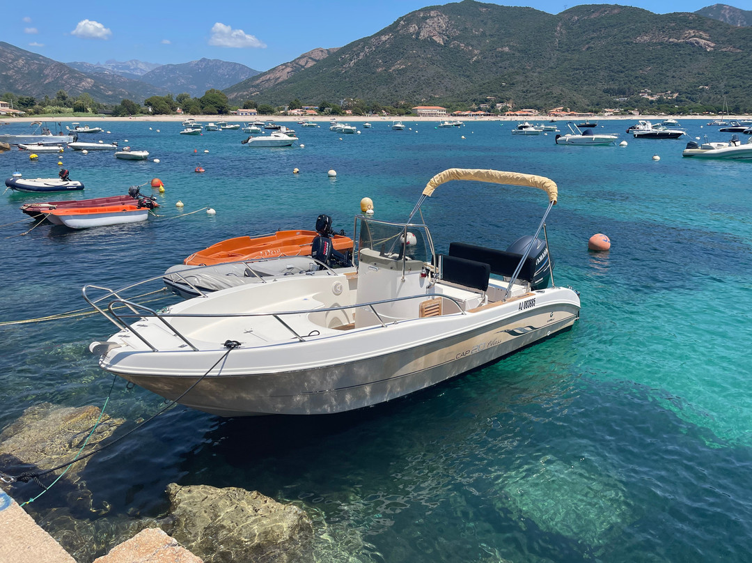 Sailing Sagone Corsica
