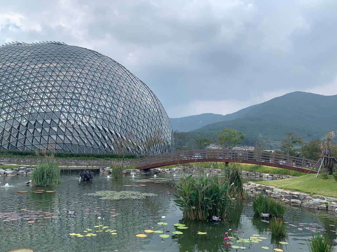 Geoje Botanic Garden Jungle Dome景点图片