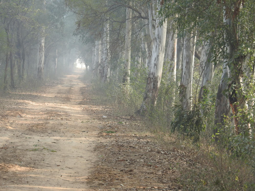 Jhajjar District旅游攻略图片