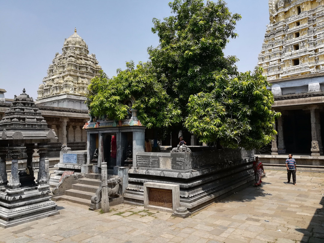 Ekambareswarar Temple景点图片