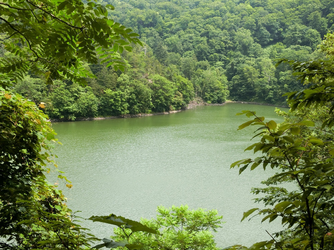 Lake Hangetsu Nature Park景点图片