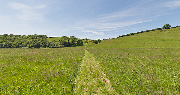 Helsbury Park