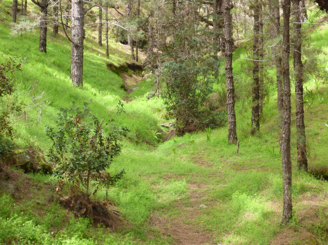 La Esperanza旅游攻略图片