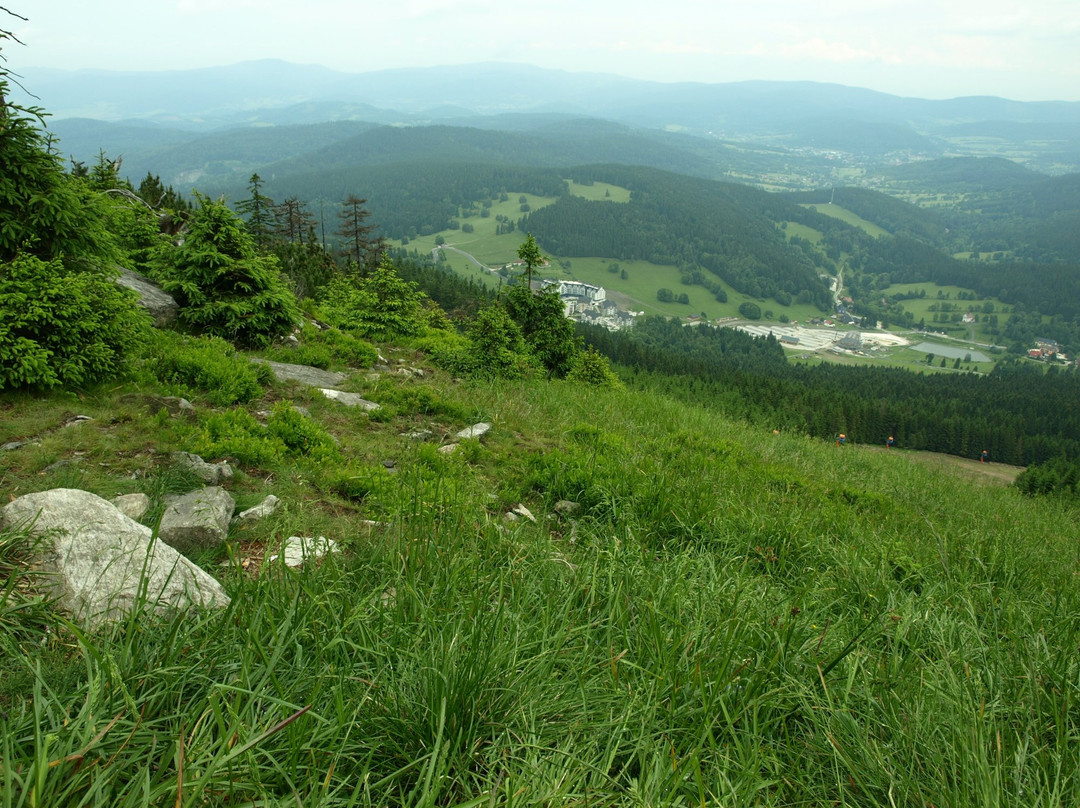 Czarna Gora Peak景点图片