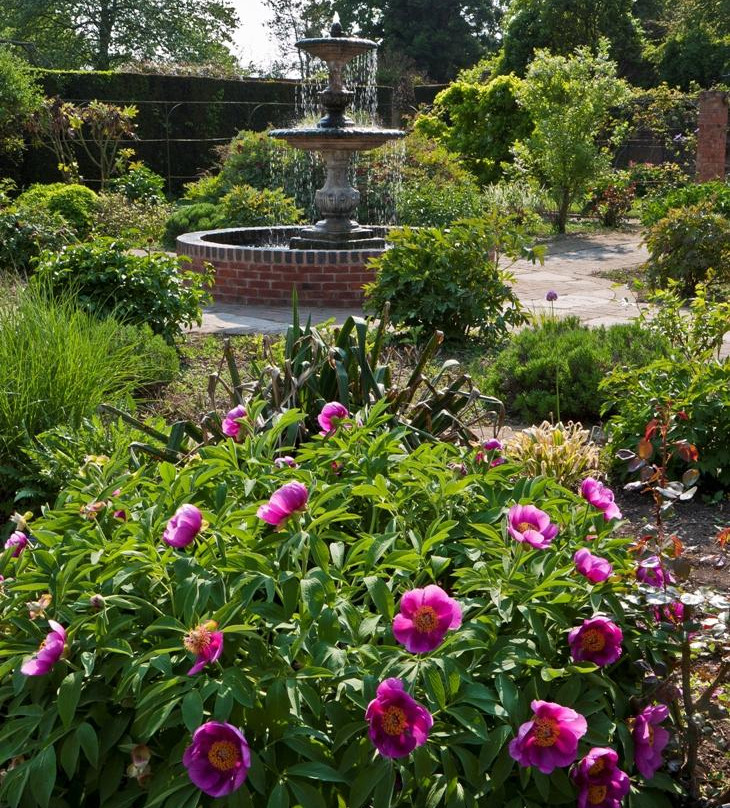 Spetchley Park Gardens景点图片