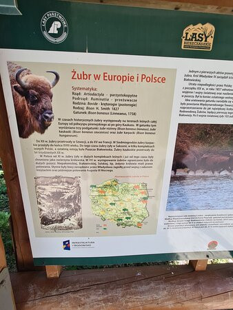 Zagroda Żubra w Mucznem-Muczne必去景点