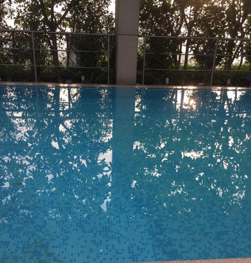 印多尔丽笙酒店主图