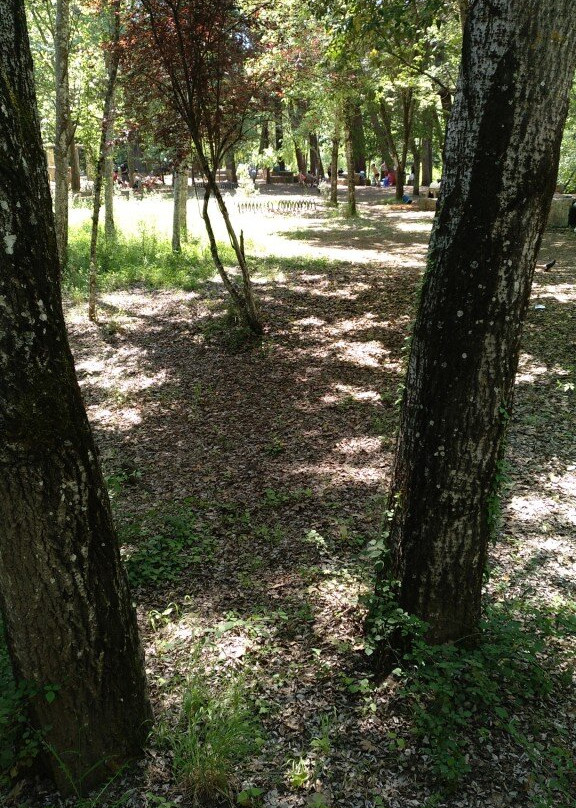 Área Recreativa Isla Margarita景点图片