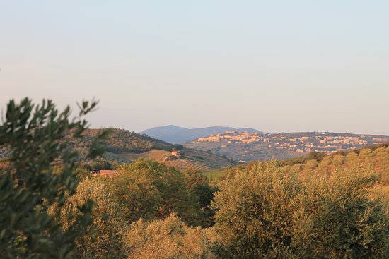 Tenuta Agricola Fraschiera-酒店景观