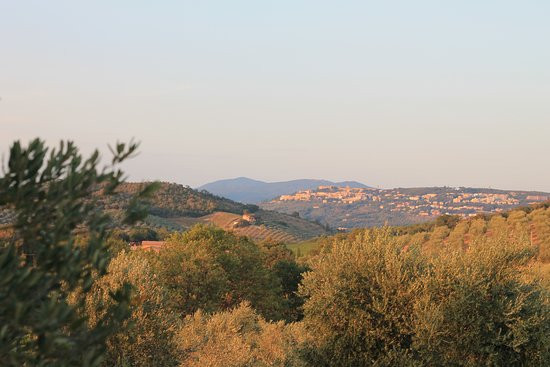 Tenuta Agricola Fraschiera主图
